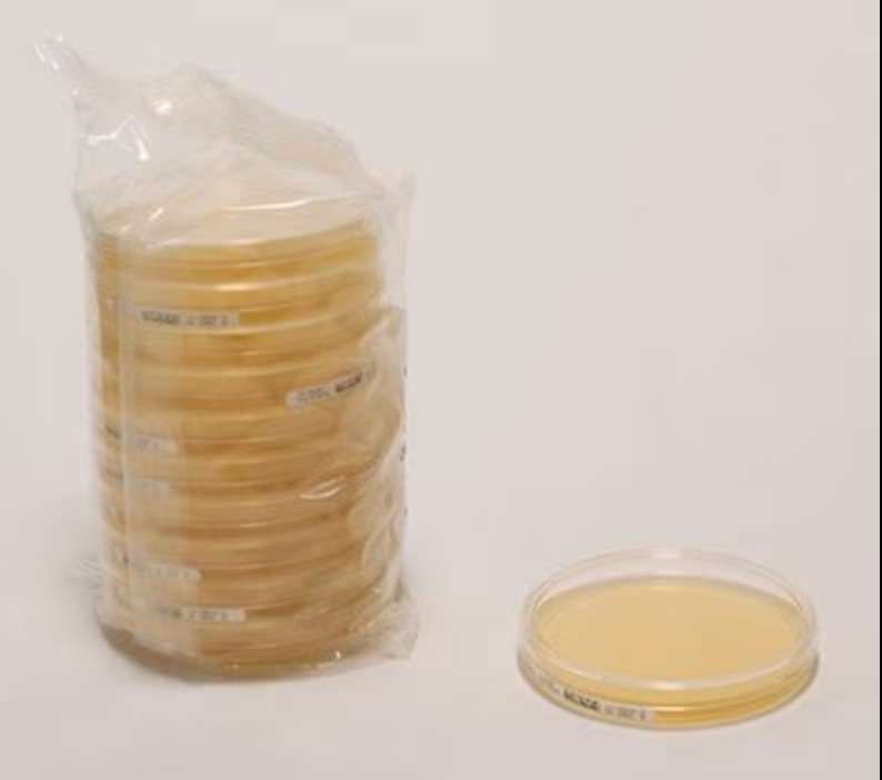 Agar plates 90mm (1 Dozen)