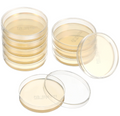 Agar plates 60mm (1 Dozen)